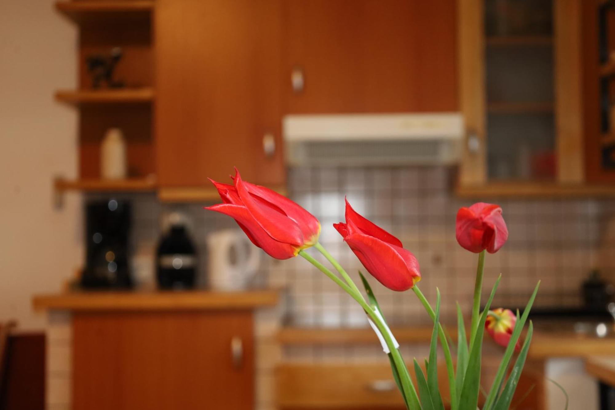 Apartment Norma Bovec Exterior photo